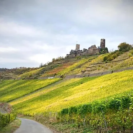 아파트 Pfaffenheck *